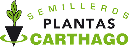 LOGO_NUEVO_plantas-carthago-removebg-preview 1
